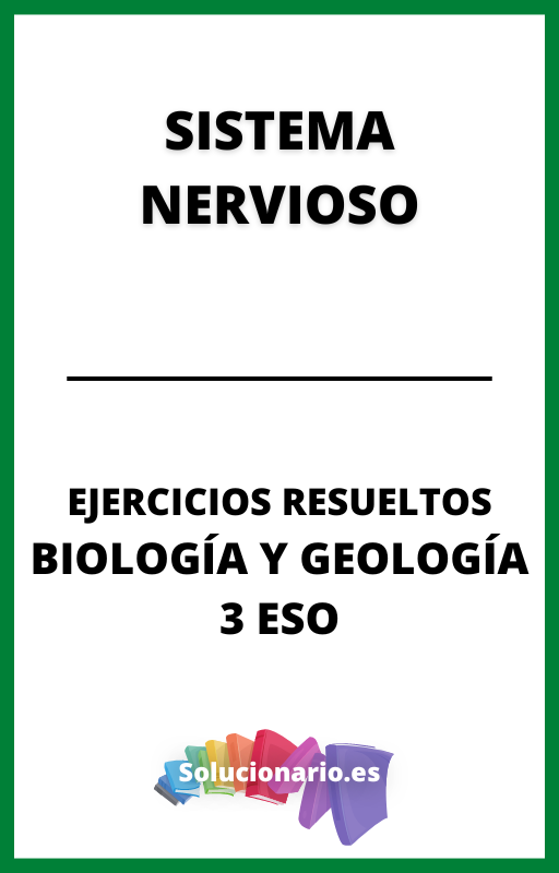 Ejercicios Resueltos de Sistema Nervioso Biologia y Geologia 3 ESO
