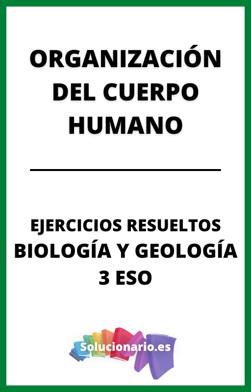 Ejercicios Resueltos de Organizacion del Cuerpo Humano Biologia y Geologia 3 ESO