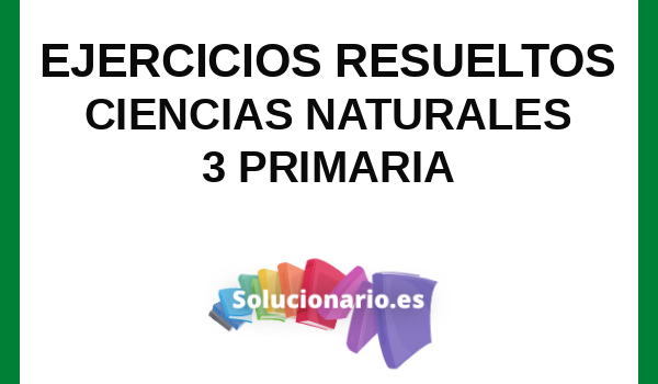 Ejercicios Resueltos Ciencias Naturales 3 Primaria
