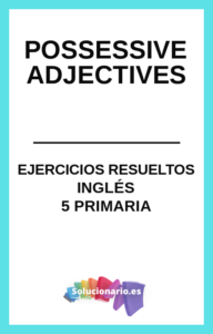 Possessive Adjectives y Pronouns
